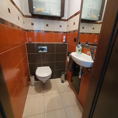 Apartament 3-Pokojowy 68 M , 250 Metrow Do Plazy ,Garaz דירה קולובז'ג